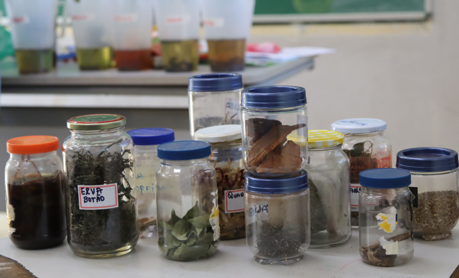 Oficinas de plantas medicinais, saúde e gastronomia marcam ações da Operação Rondon