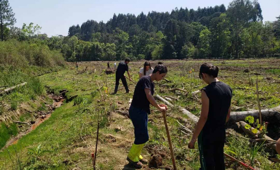 Educação do Paraná se destaca em olimpíada nacional de recuperação de ecossistemas