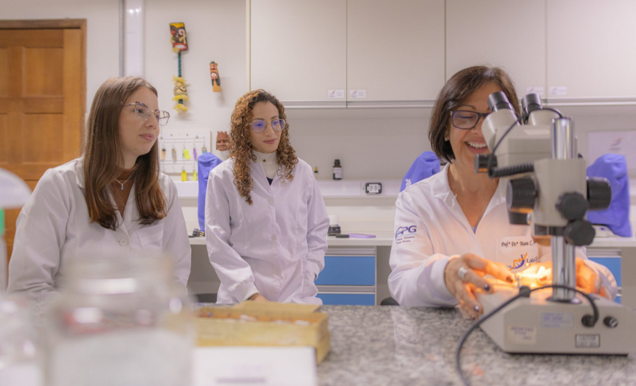 Besouro Saltador dos Campos Gerais: pesquisadores da UEPG descobrem nova espécie