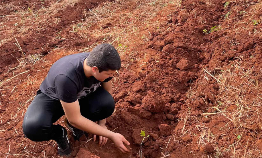 Educação do Paraná se destaca em olimpíada nacional de recuperação de ecossistemas