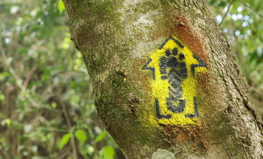 Caminhos do Peabiru: Lapa e Curitiba recebem oficinas para mapear rota turística milenar