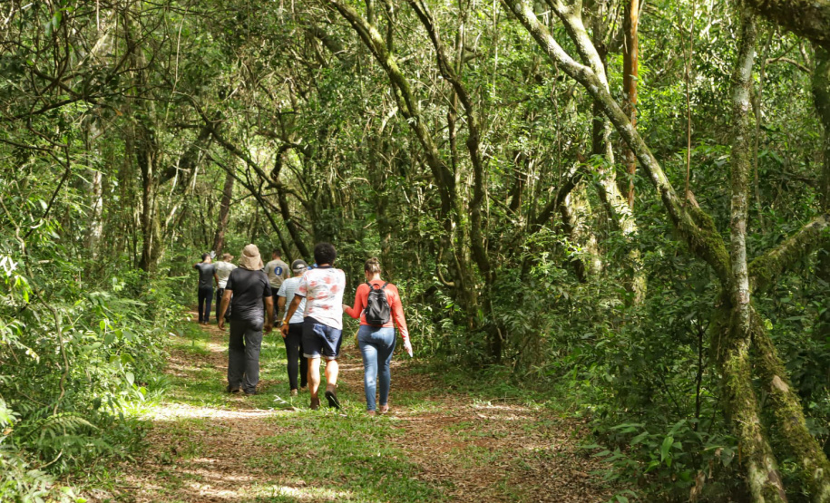 Caminhos do Peabiru: Lapa e Curitiba recebem oficinas para mapear rota turística milenar