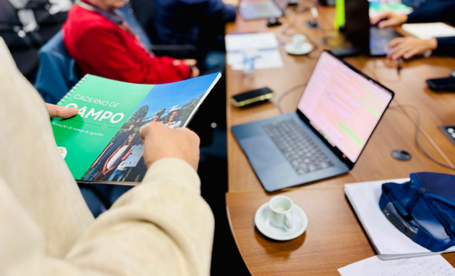 Paraná amplia vantagem como maior produtor de orgânicos do país