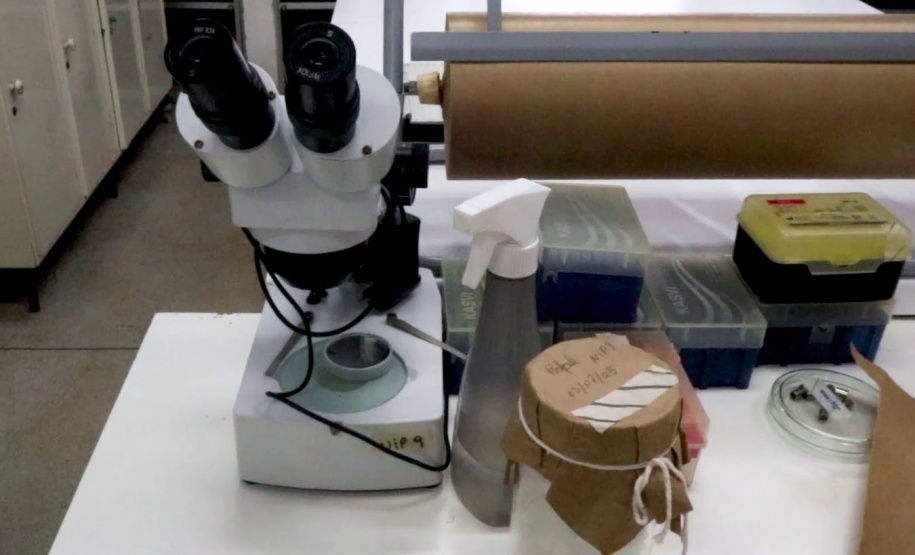 Programa da TV Paraná Turismo mostra produção científica das universidades estaduais