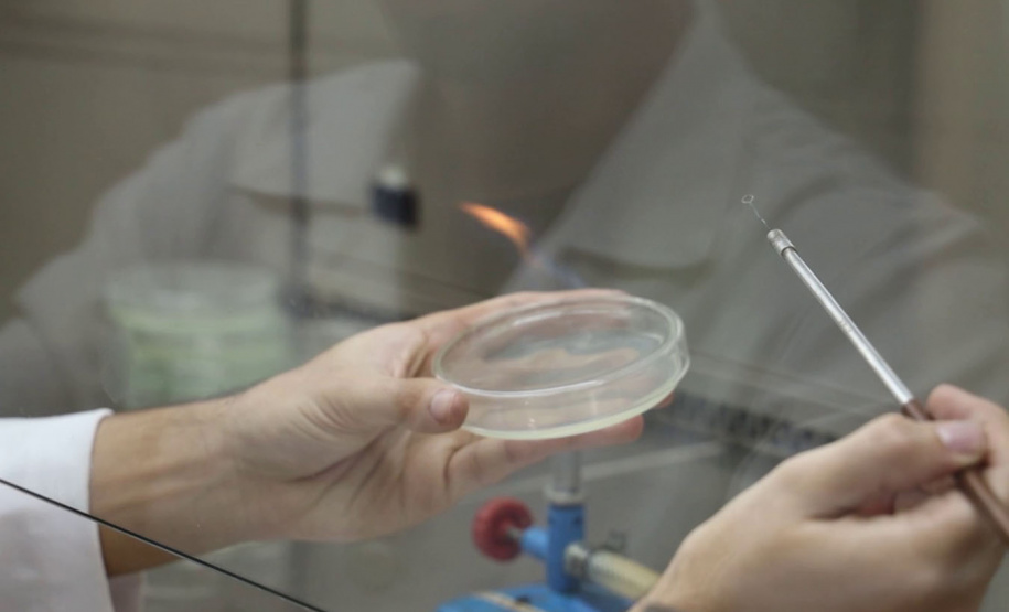 Programa da TV Paraná Turismo mostra produção científica das universidades estaduais