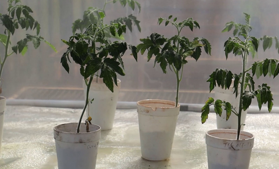 Programa da TV Paraná Turismo mostra produção científica das universidades estaduais