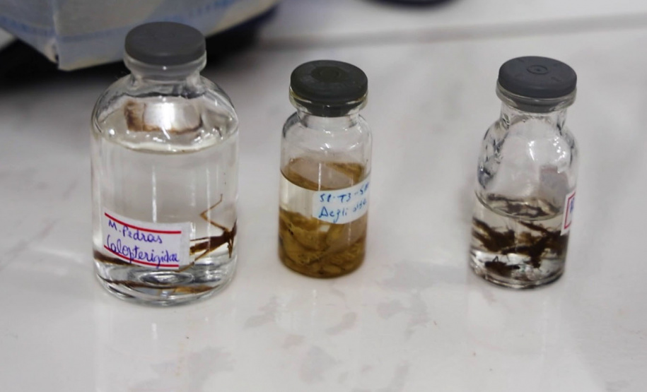 Programa da TV Paraná Turismo mostra produção científica das universidades estaduais