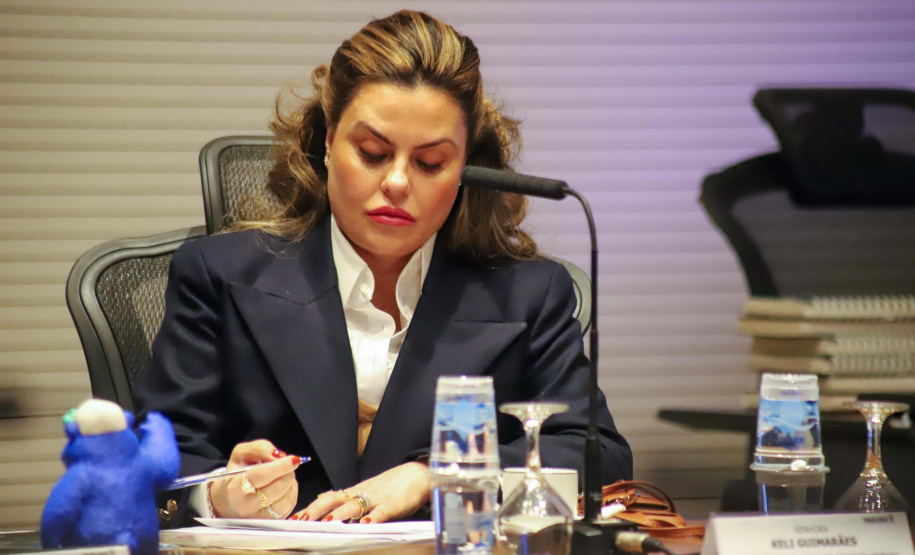 Piana destaca diferenciais do Paraná para a Agência Francesa de Desenvolvimento