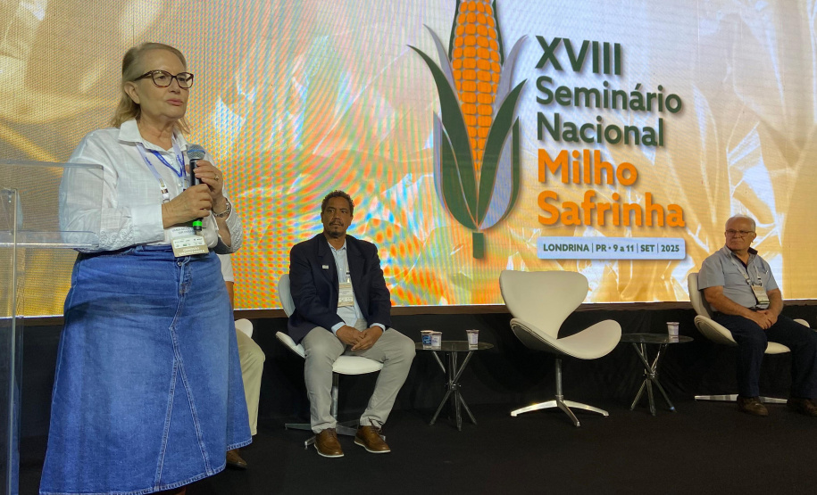 Londrina recebe seminário de milho safrinha, responsável por 80% da produção