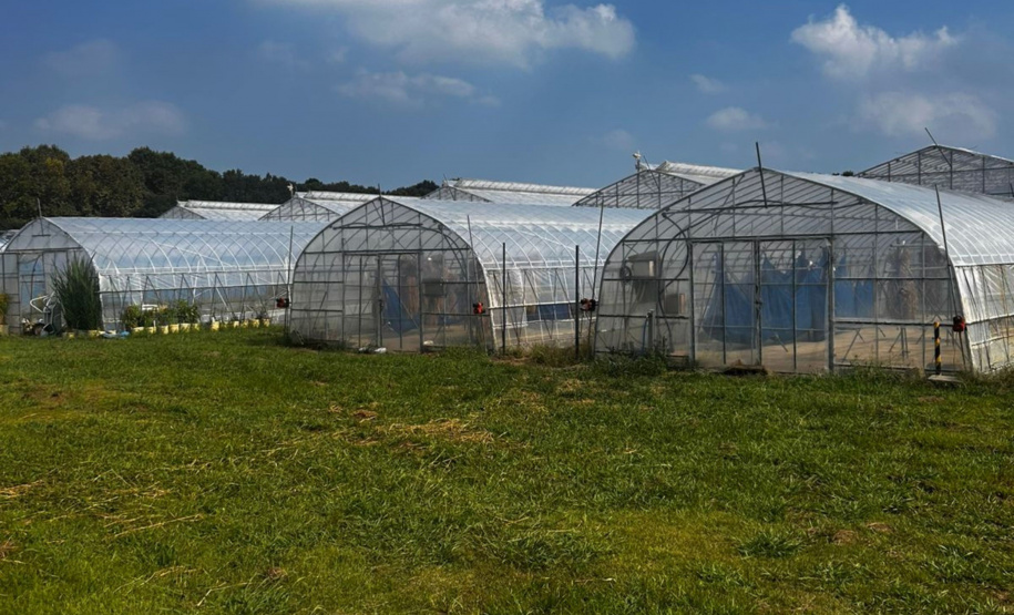 Missão ao Japão fortalece cooperação em pesquisa, biociências e tecnologia