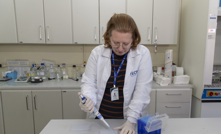 Tecpar inicia pesquisa para desenvolver kit de diagnóstico de doença bovina