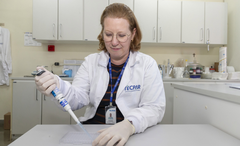 Tecpar inicia pesquisa para desenvolver kit de diagnóstico de doença bovina