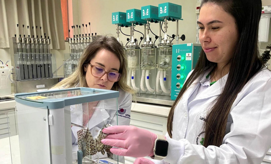 Na TV: pesquisa da UEL que garante qualidade do café é destaque do Paraná Ciência