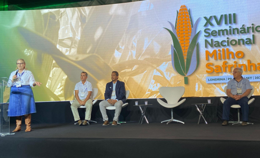 Londrina recebe seminário de milho safrinha, responsável por 80% da produção