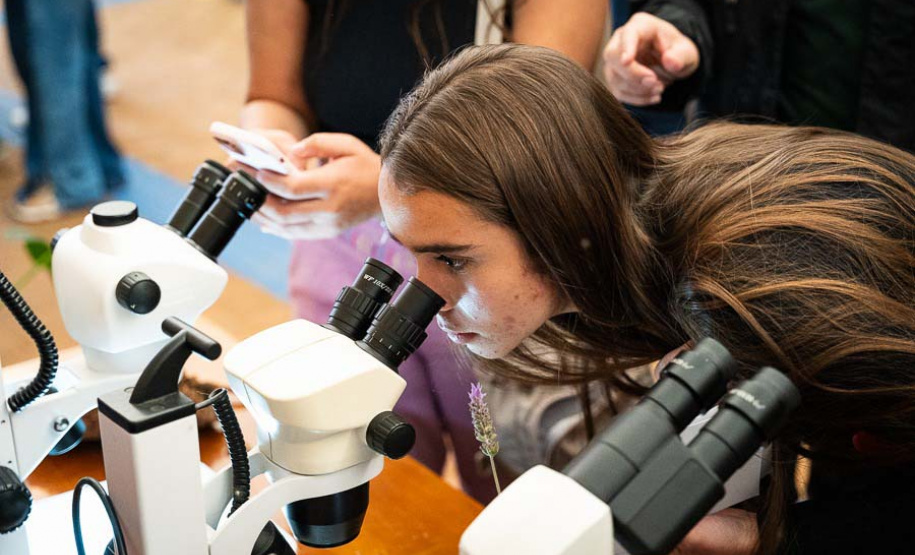 UENP completa 19 anos com 4,1 mil alunos, 456 docentes e referência na região Norte