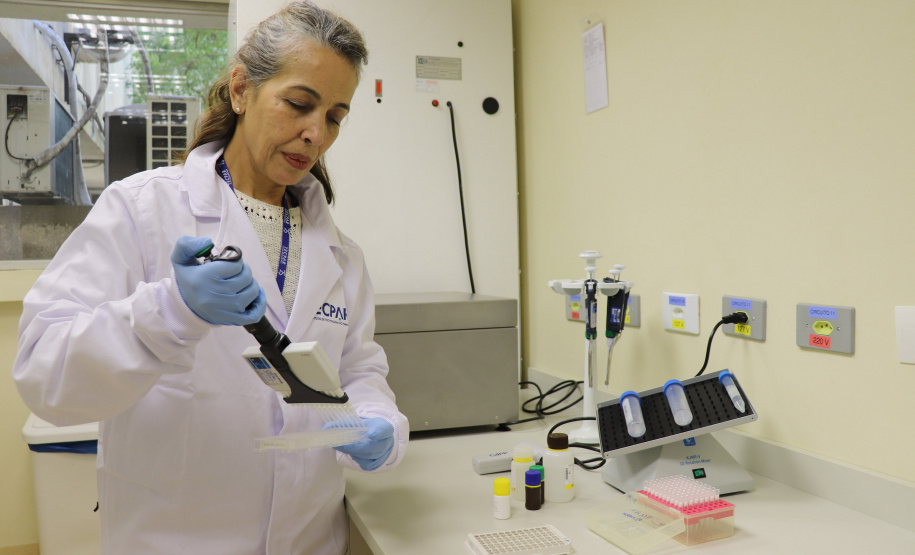 Alimentação escolar: controle rigoroso garante cardápios nutritivos e saudáveis no Paraná