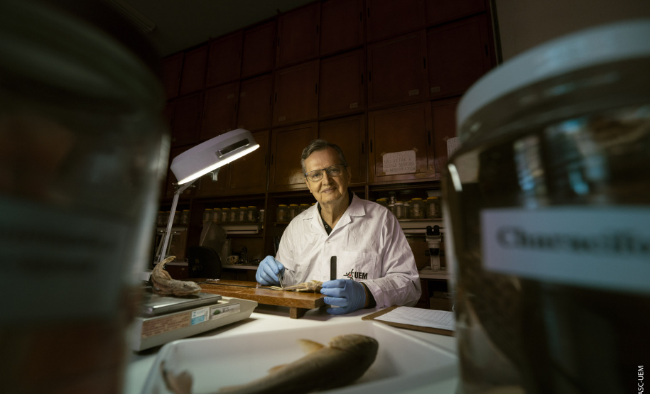 Pesquisadores das universidades estaduais do Paraná estão entre os mais influentes do mundo