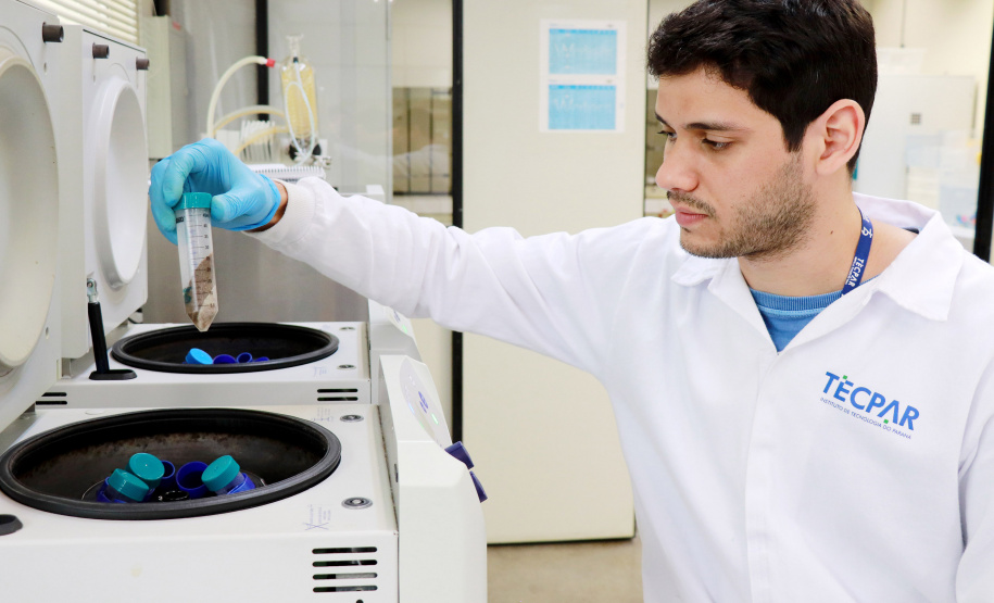 Alimentação escolar: controle rigoroso garante cardápios nutritivos e saudáveis no Paraná