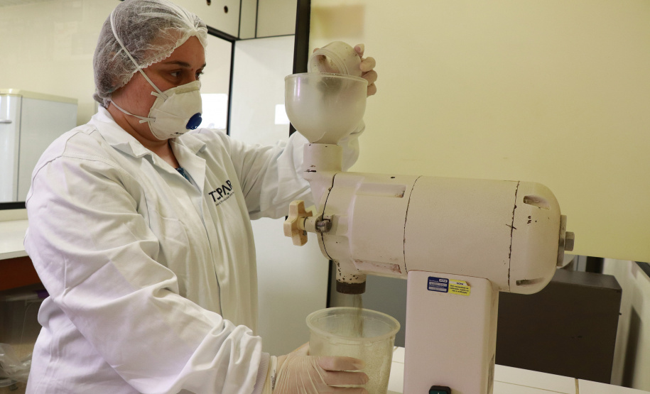 Alimentação escolar: controle rigoroso garante cardápios nutritivos e saudáveis no Paraná