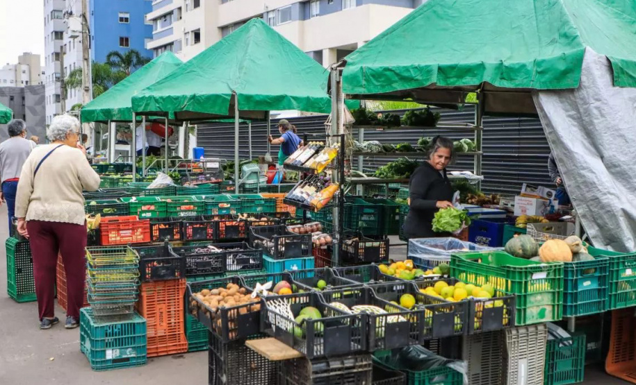 Estado investe R$ 14,7 milhões em nova fase do programa Paraná Mais Orgânico