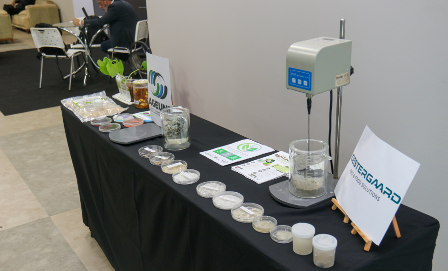 Fórum do Conselho Nacional de Secretários Estaduais para Assuntos de Ciência, Tecnologia e Inovação  2025