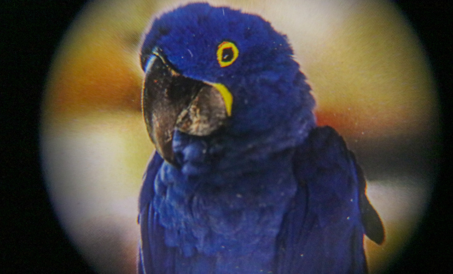 Fórum do Conselho Nacional de Secretários Estaduais para Assuntos de Ciência, Tecnologia e Inovação  2025