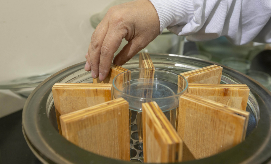 Tecpar e UFPR compartilham laboratório para estudos na área florestal e madeireira