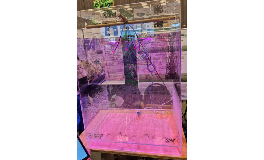 Paraná Faz Ciência reúne 700 alunos da rede em mostra inédita de projetos científicos