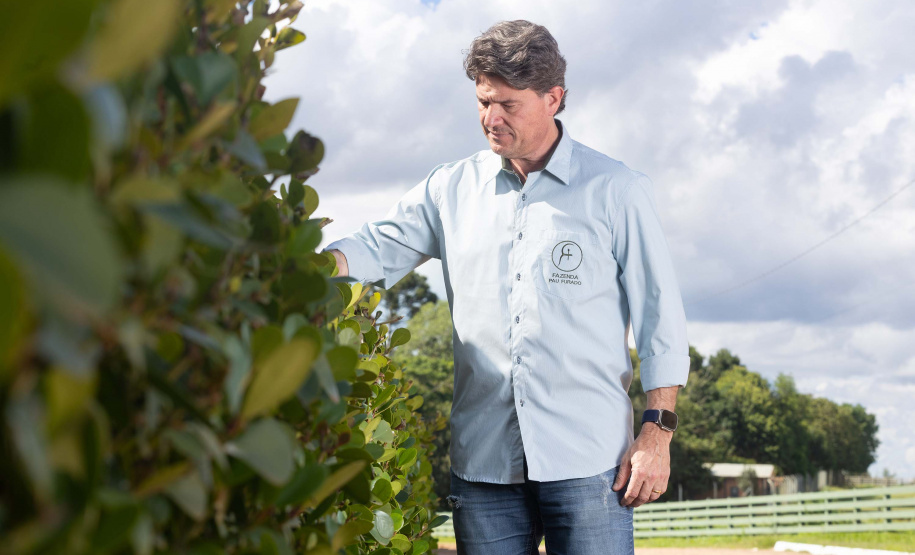 Paraná oferece programa pioneiro para validação de inventários de carbono