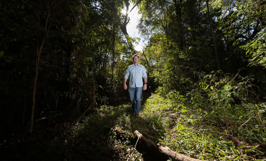 Paraná oferece programa pioneiro para validação de inventários de carbono