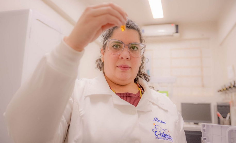 Paraná incentiva pesquisa com bolsas que cobrem trajetória acadêmica e profissional