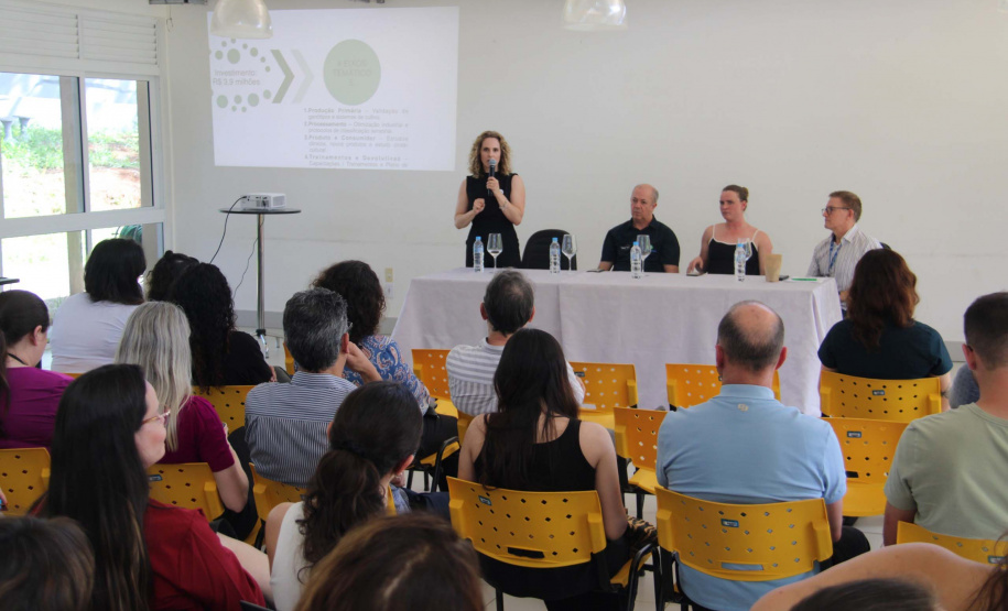 Arranjo de pesquisa sobre erva-mate vai impulsionar inovações na cadeia produtiva