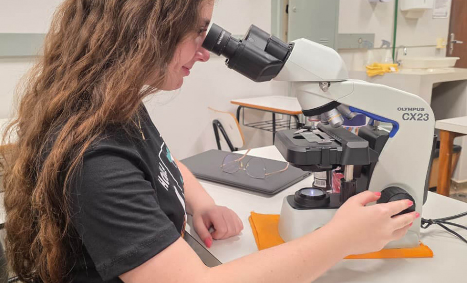 Ingresso nas universidades estaduais: Prova Paraná Mais será nos dias 12 e 13