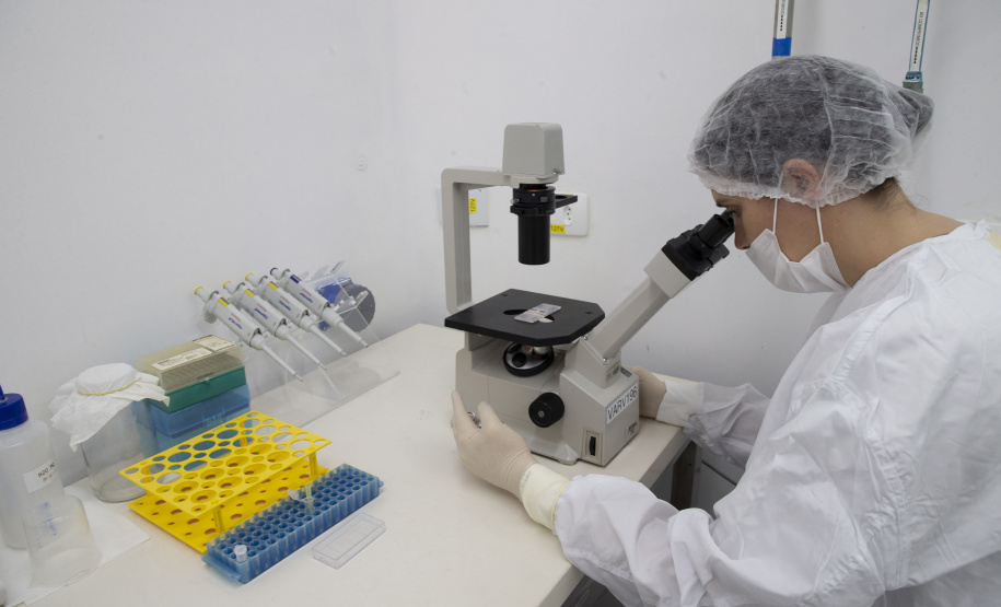 Tecpar firma parceria com o Ministério da Saúde para fornecer vacinas humanas