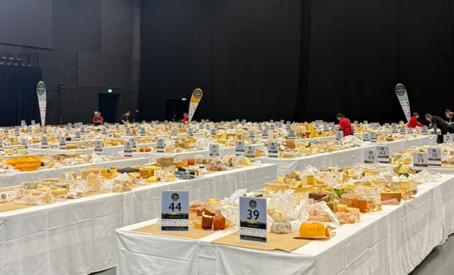 Queijos paranaenses batem produtos de 50 países e são premiados no Mundial da Suíça