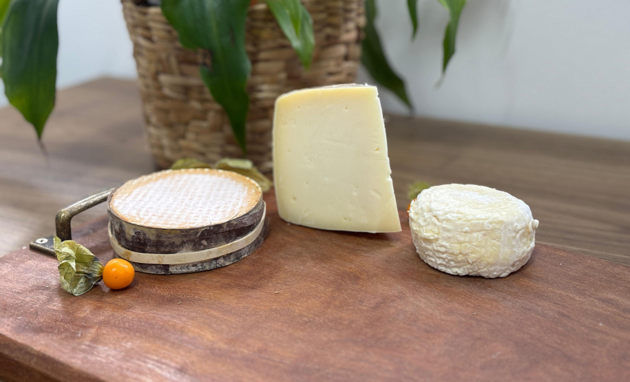 Queijos paranaenses batem produtos de 50 países e são premiados no Mundial da Suíça