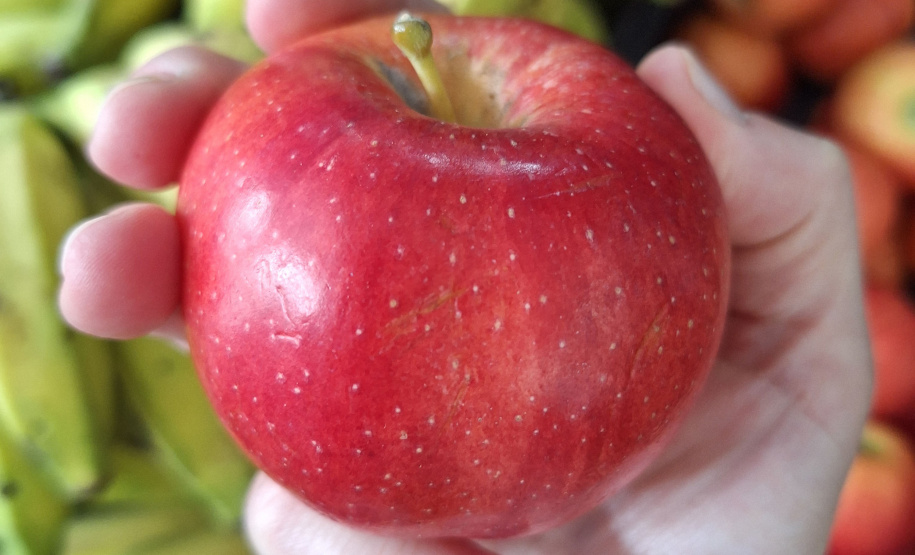 Estado adquiriu 5 mil toneladas de alimentos orgânicos para a merenda escolar em 2025