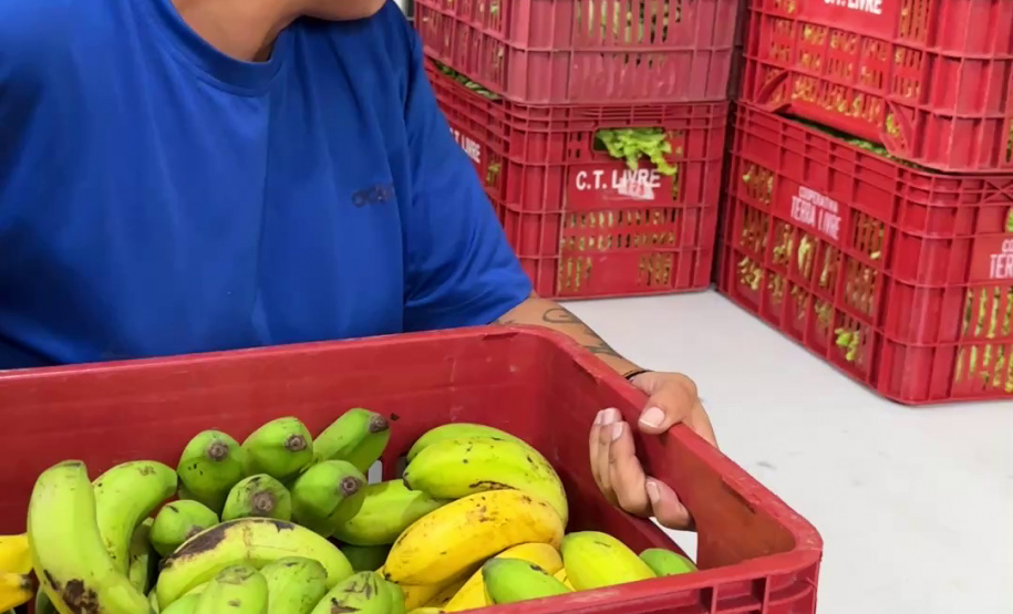 Estado adquiriu 5 mil toneladas de alimentos orgânicos para a merenda escolar em 2025