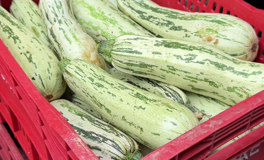 Estado adquiriu 5 mil toneladas de alimentos orgânicos para a merenda escolar em 2025