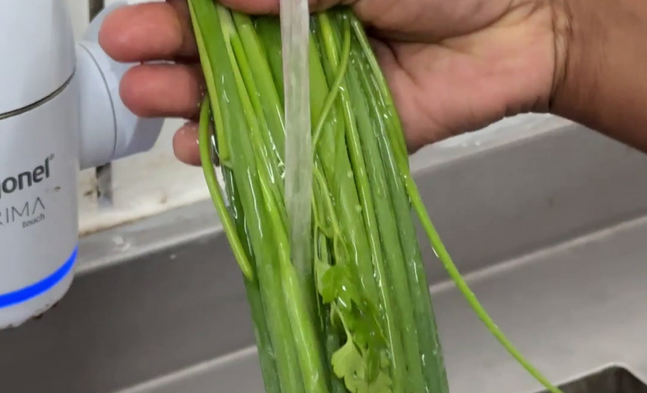 Estado adquiriu 5 mil toneladas de alimentos orgânicos para a merenda escolar em 2025