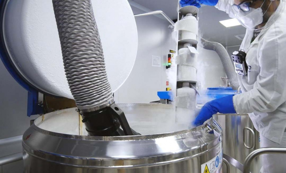 Paraná será responsável pelo banco brasileiro de antígenos e vacinas contra febre aftosa