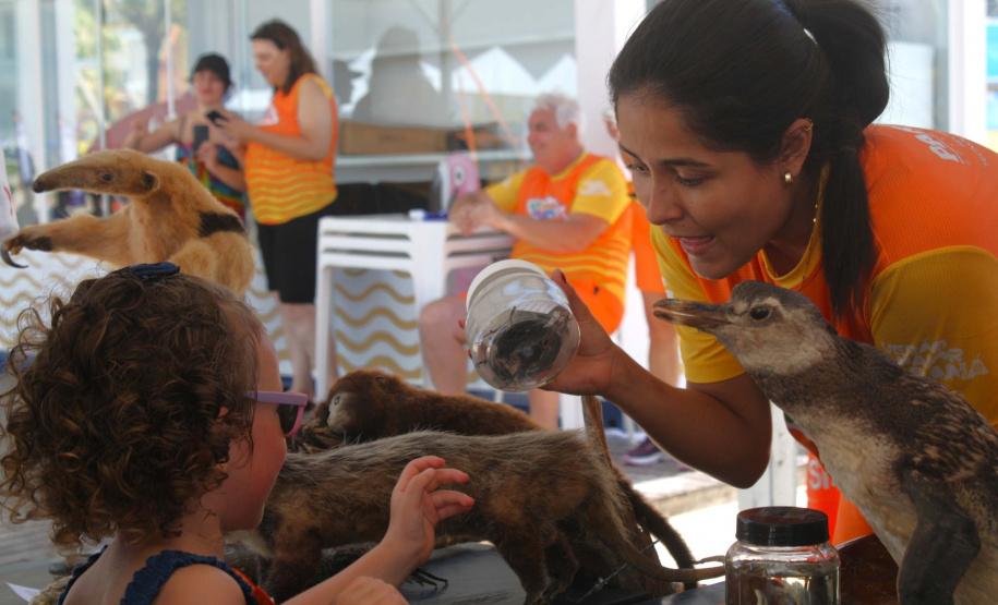 Universidades ampliam presença no Verão Maior Paraná com ações educativas no Litoral