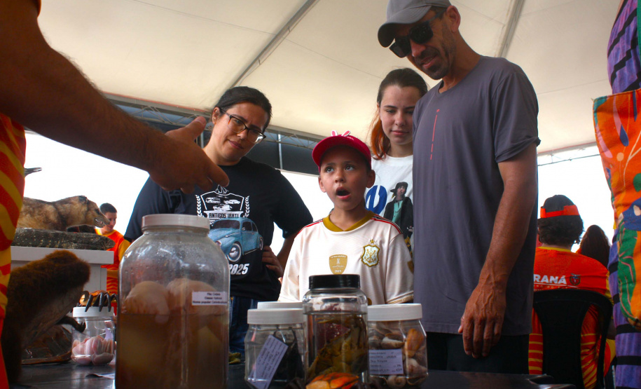 Universidades ampliam presença no Verão Maior Paraná com ações educativas no Litoral