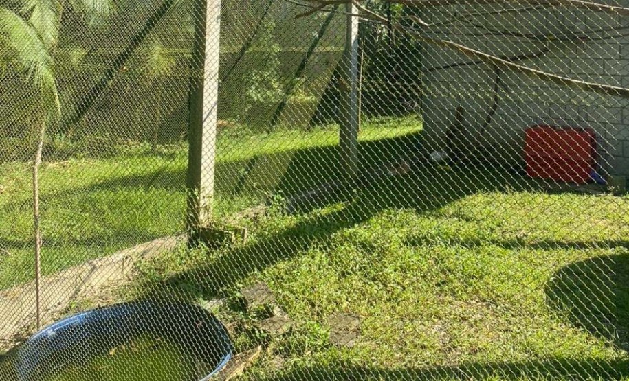 IAT reforça pronto atendimento à fauna silvestre do Litoral para a temporada de verão