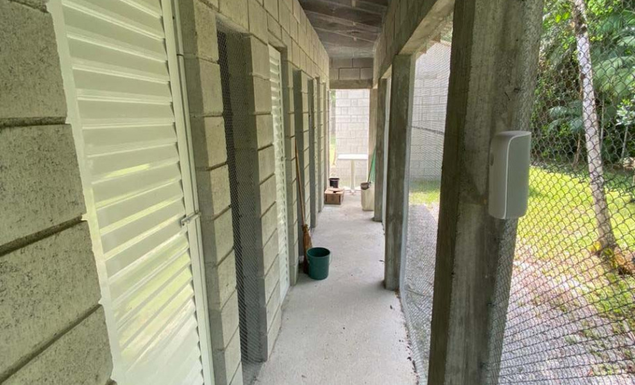 IAT reforça pronto atendimento à fauna silvestre do Litoral para a temporada de verão