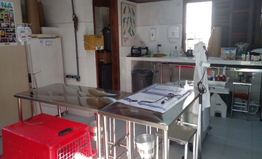 IAT reforça pronto atendimento à fauna silvestre do Litoral para a temporada de verão