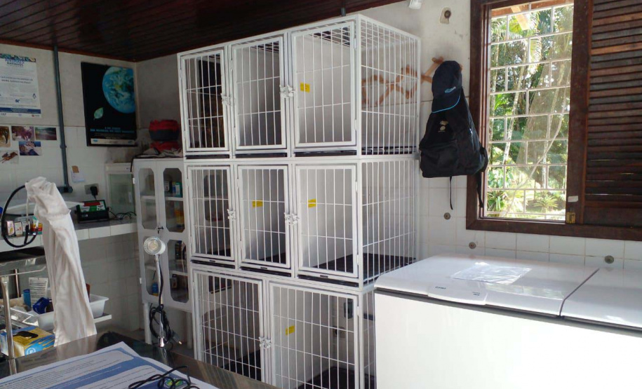 IAT reforça pronto atendimento à fauna silvestre do Litoral para a temporada de verão