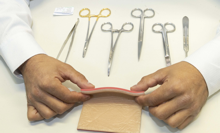 Incubada pelo Tecpar, startup produz pele artificial de animais para simular cirurgias veterinárias