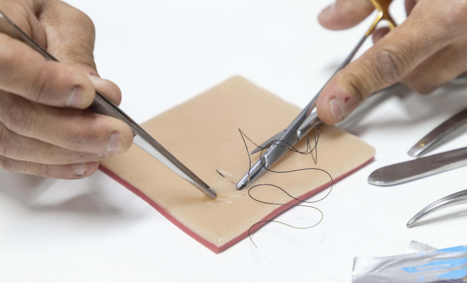 Incubada pelo Tecpar, startup produz pele artificial de animais para simular cirurgias veterinárias