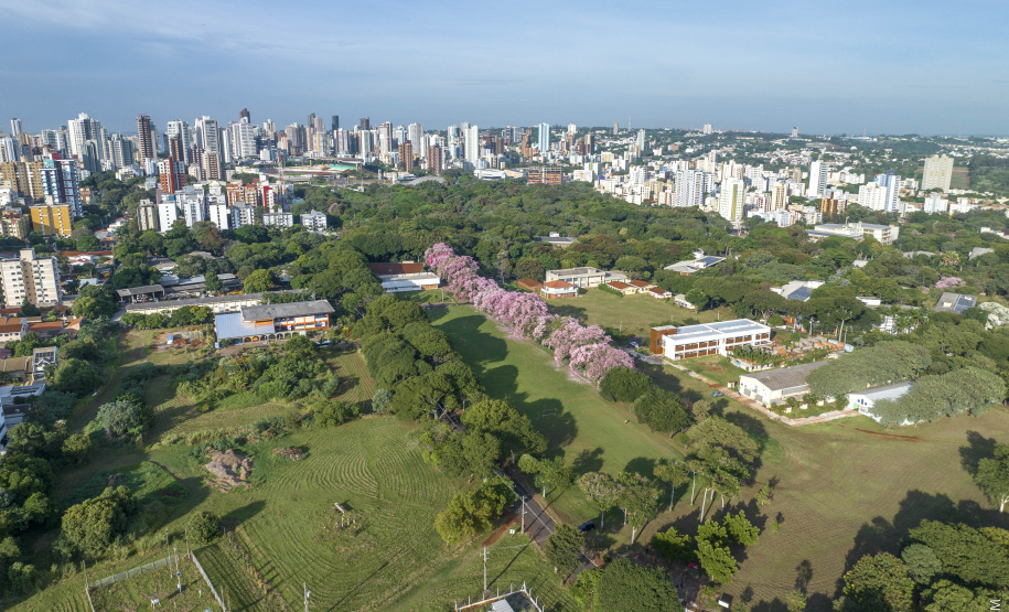 UEM divulga lista de aprovados no Vestibular de Verão e Etapa 3 do PAS